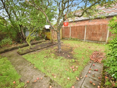 Picture 16